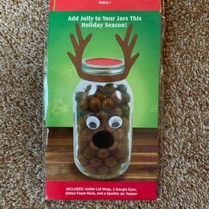 Holiday Style Reindeer character craft kit